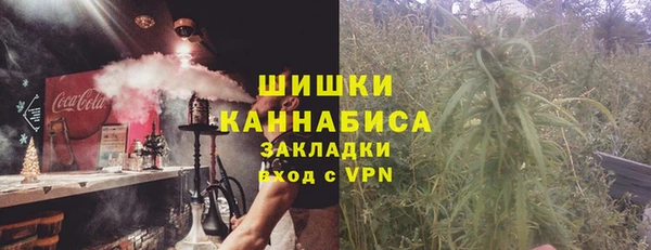 эйфоретик Арсеньев
