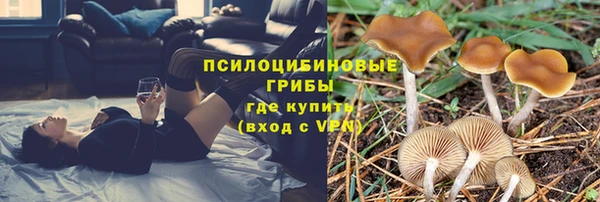 метамфетамин Аркадак