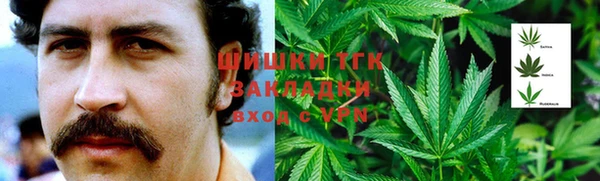 эйфоретик Арсеньев